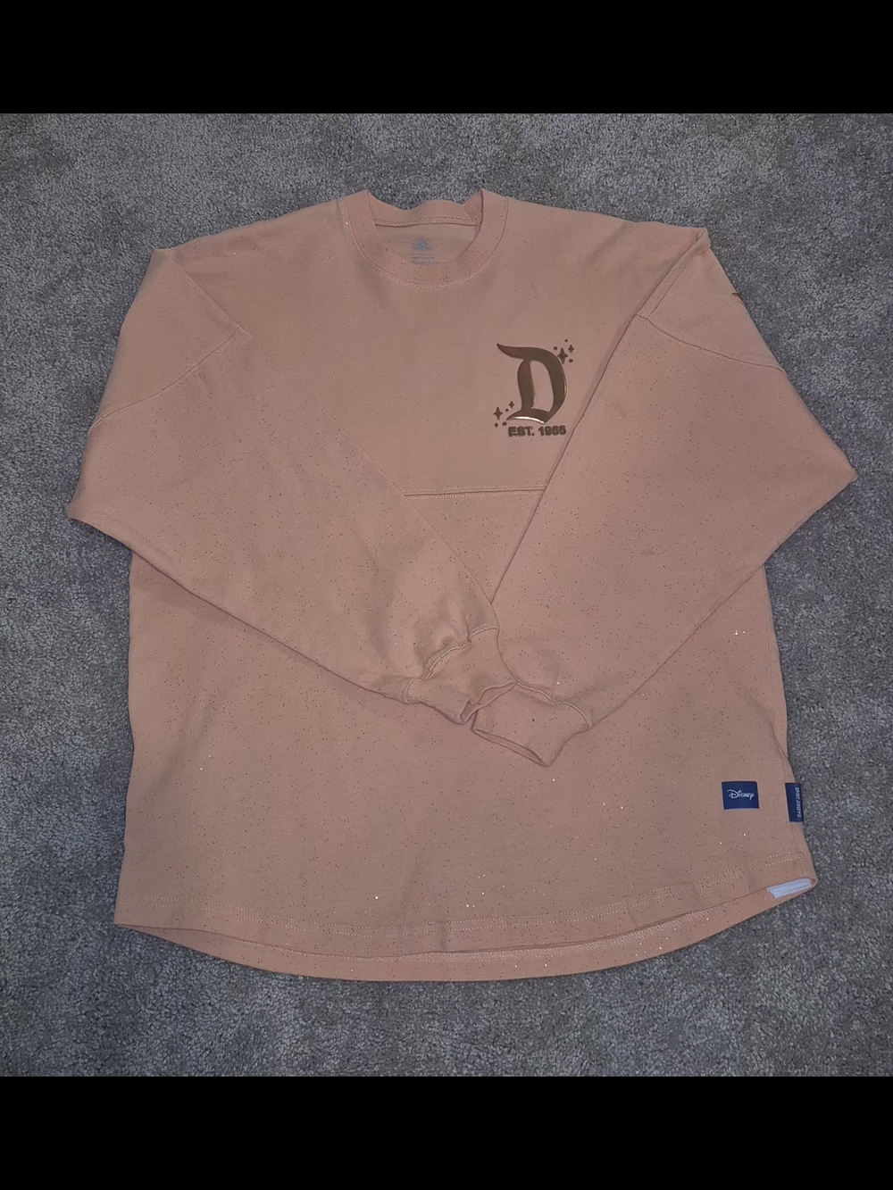 Disney Spirit Jersey